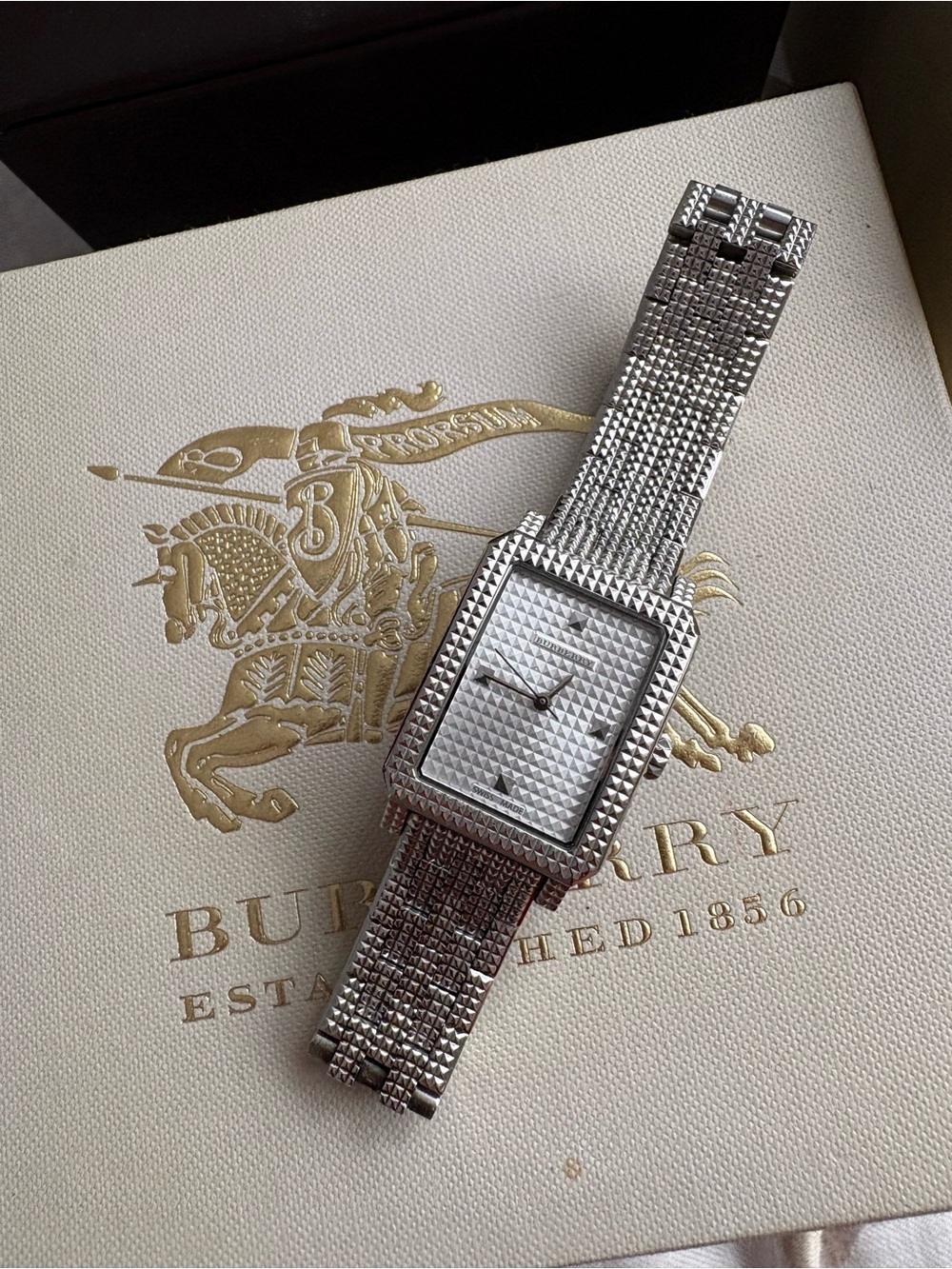 Burberry Silver Watch Links & Replacement Pins